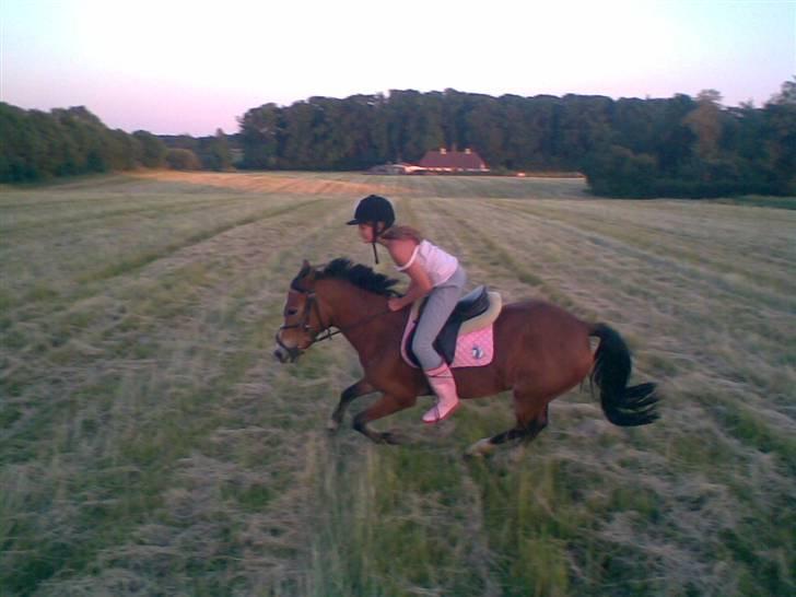Anden særlig race Nielsen's Little Star  - En frisk tur i marken :-) billede 10