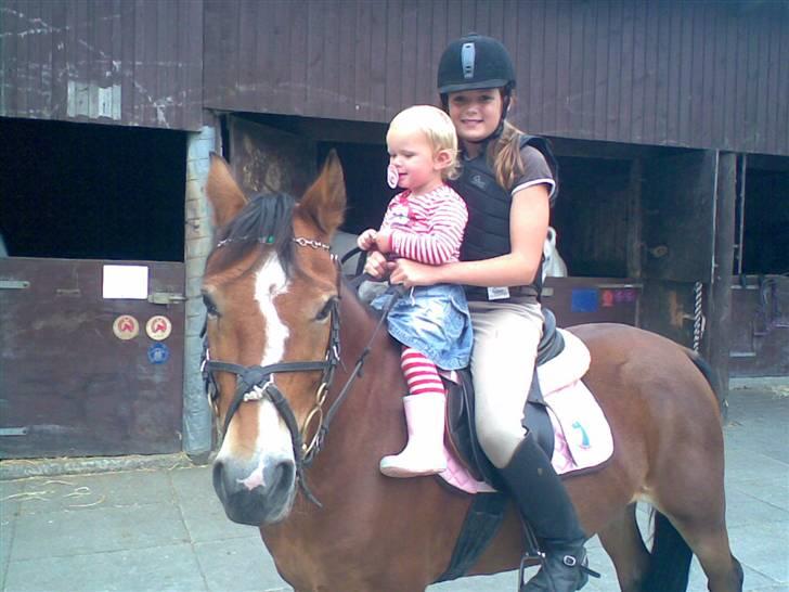 Anden særlig race Nielsen's Little Star  - Lillesøster, pony og jeg :-)  billede 12