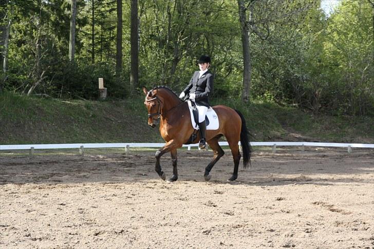 Dansk Varmblod Gørklindtgårds Flash [Tidliger hest] - FLASH OG JEG....<3:) billede 1