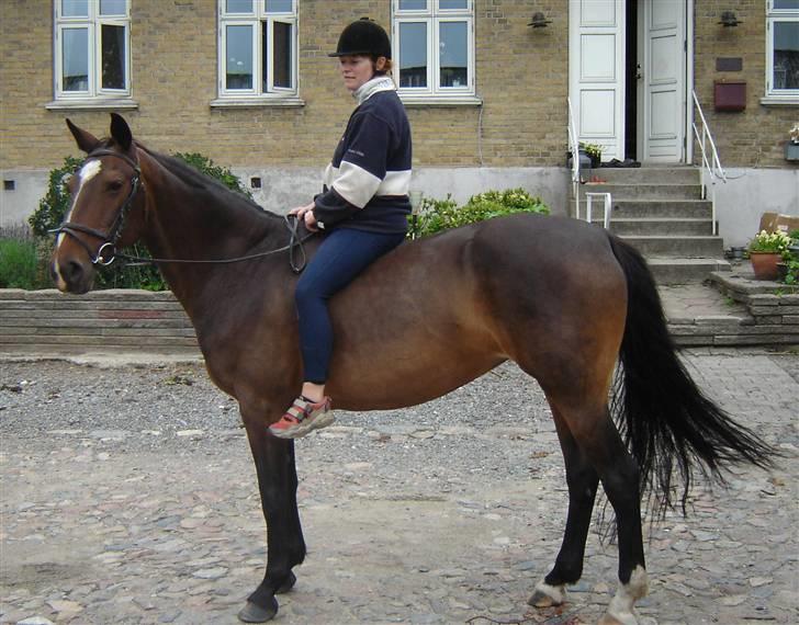 Anden særlig race unik - 3. ridetur, 4 km uden sadel. billede 11