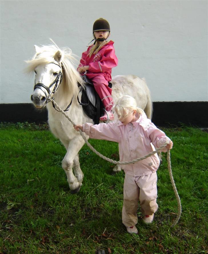 Anden særlig race Sasja R.I.P. billede 8