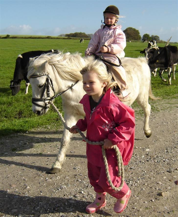 Anden særlig race Sasja R.I.P. billede 9
