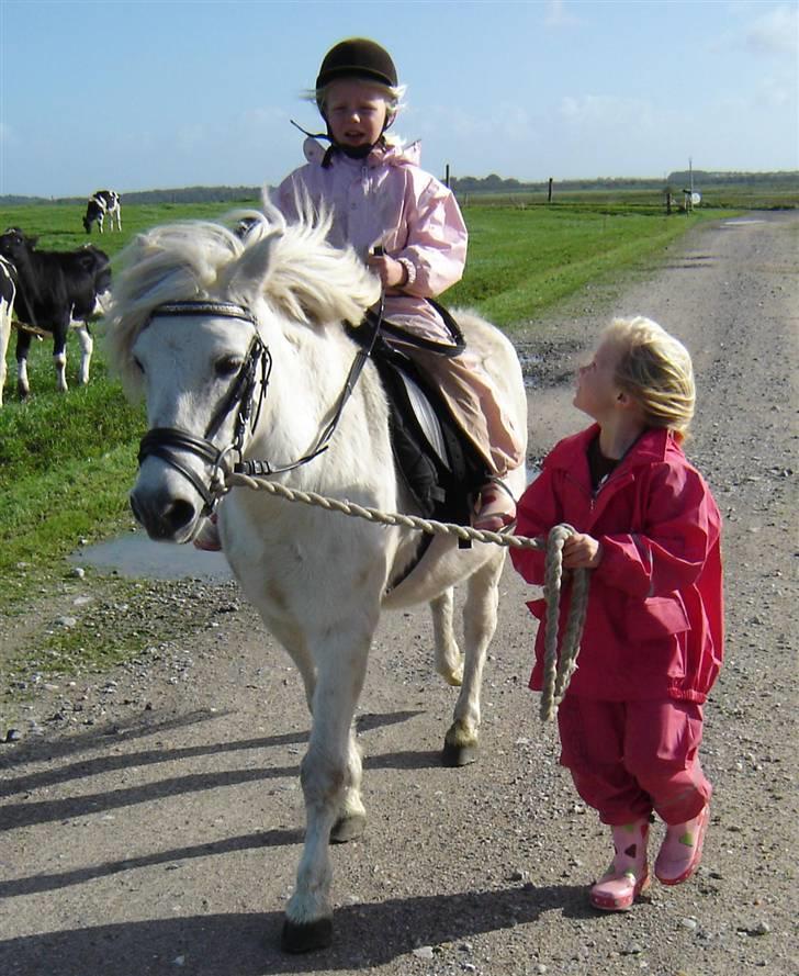 Anden særlig race Sasja R.I.P. billede 10