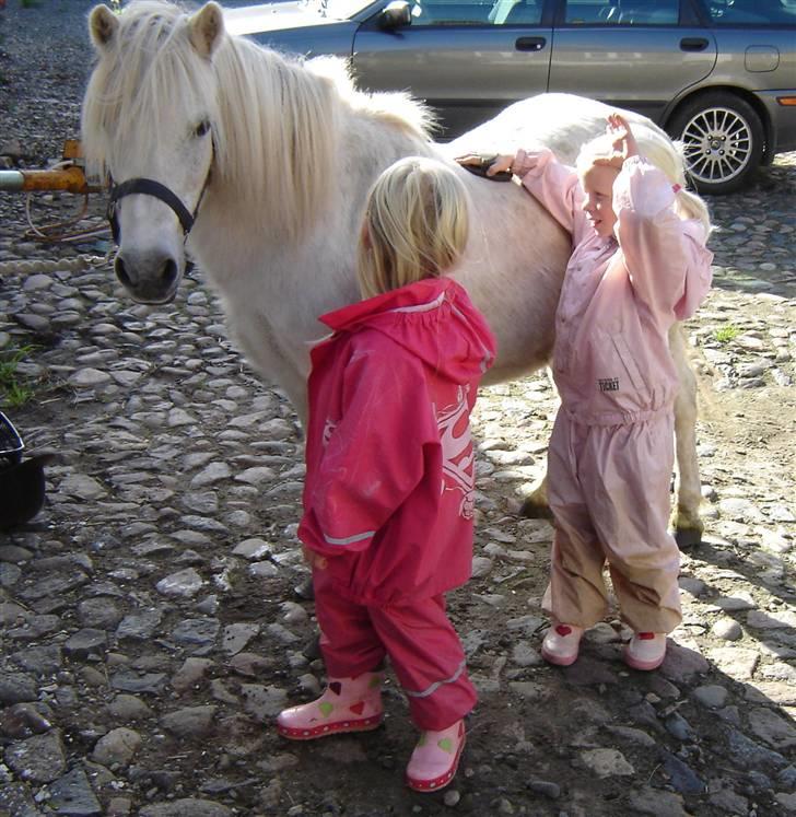 Anden særlig race Sasja R.I.P. billede 11