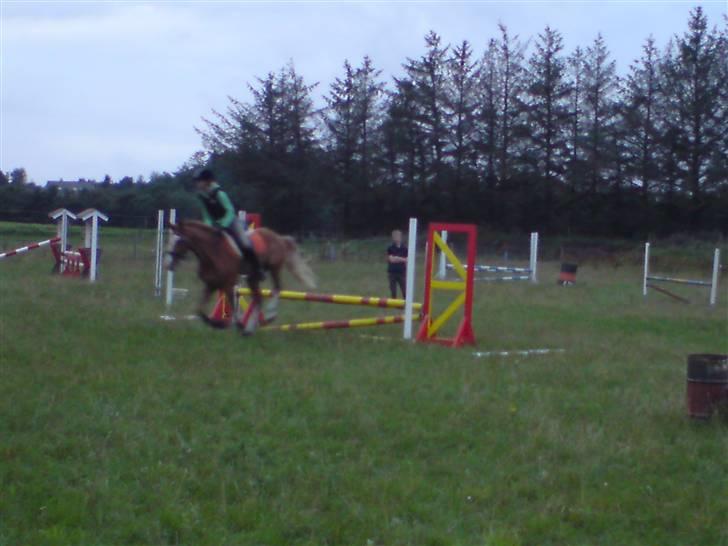 Anden særlig race Shadow "solgt" billede 4