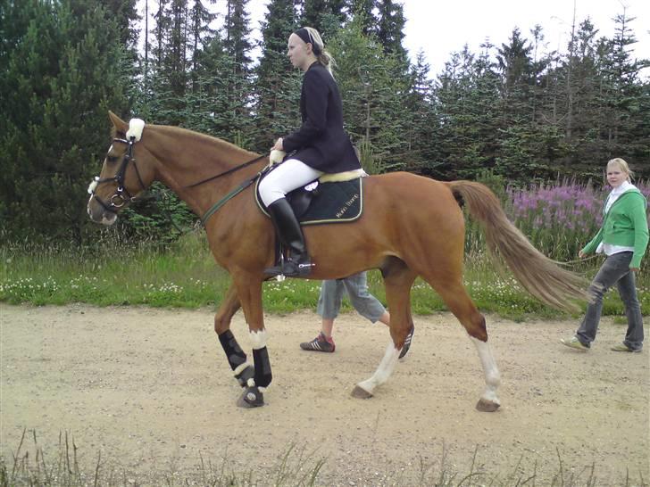 Anden særlig race Shadow "solgt" - Maria og Shadow  billede 7