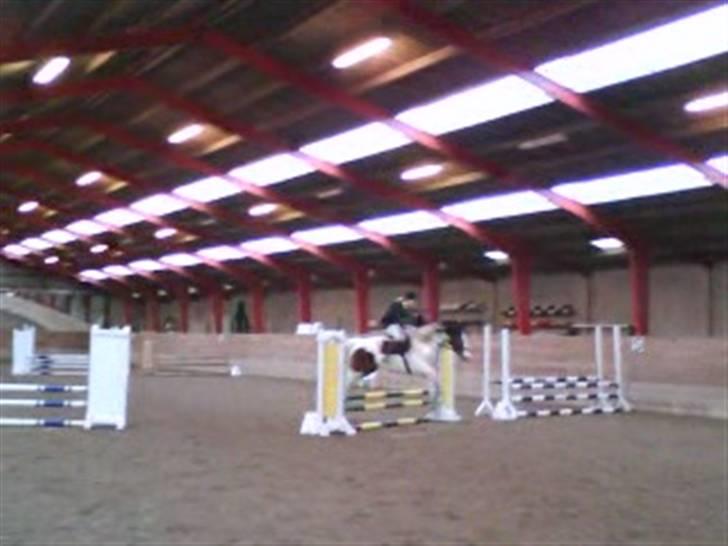 Pinto Ronjas galant - Stævne i FKR billede 15