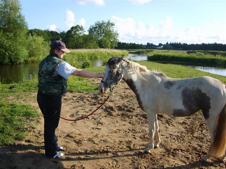 Pinto Freja (solgt) - Her er min ejer og mig. billede 6
