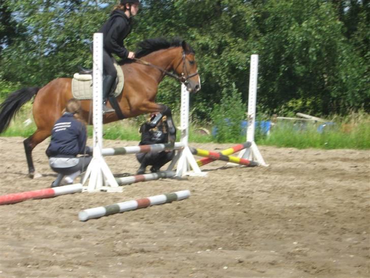 DSP Bæklunds Libell  SOLGT - LILLE SPRING - SOMMER 07 billede 11