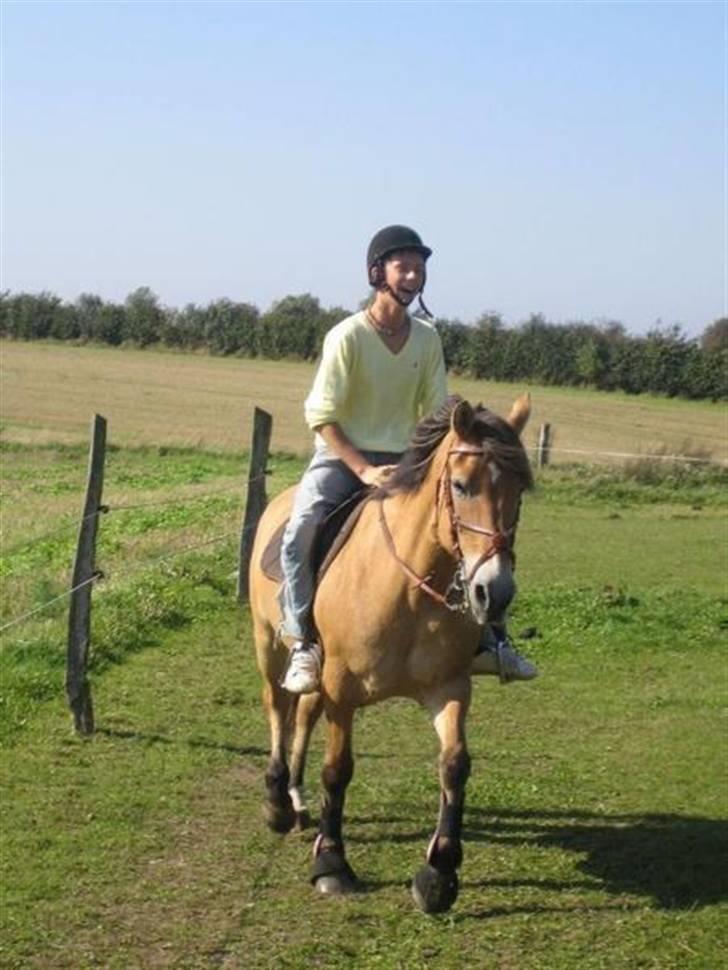 Anden særlig race Flicka - solgt. - *16* Nicolai rider på Flicka. billede 16