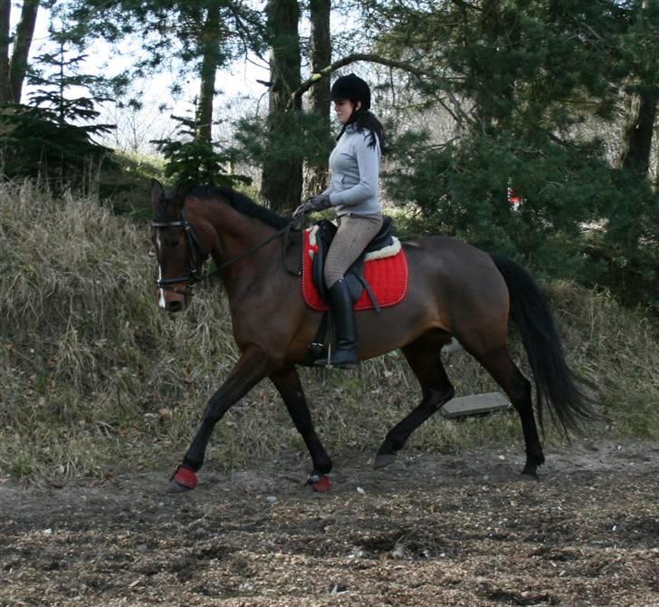 Anden særlig race Kongelundens Smilla  - Kongelundens Smilla 2009 Foto: Henriette billede 12