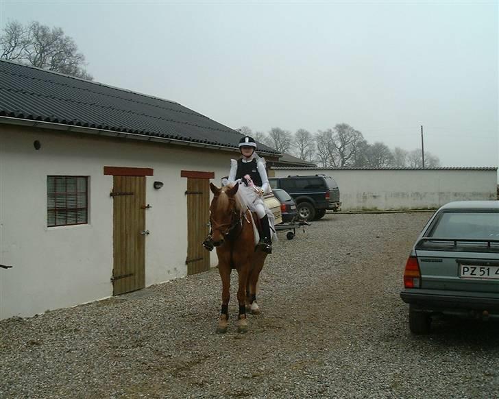 Anden særlig race komet  - Vi er klædt ud som prinsesse og den smukke pony <3<3<3 billede 16