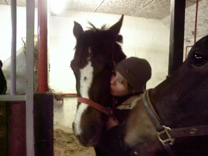 Traver BakkegårdensMoonlight - Mig og min mulle pige <´3 billede 5