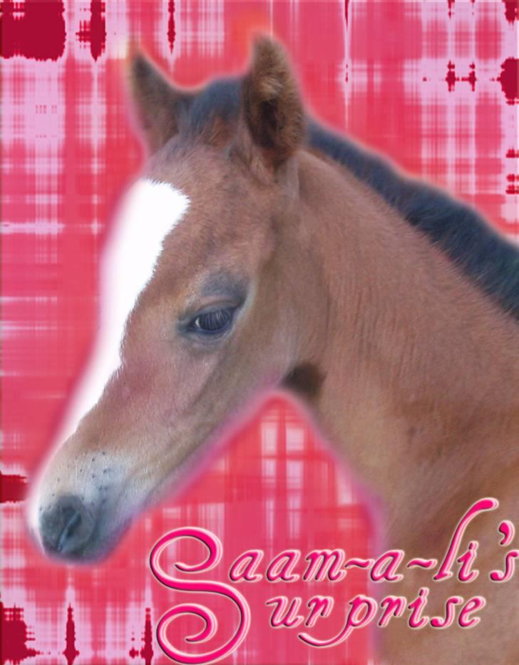 Anden særlig race Saam-a-li's surprise*DØD* billede 1