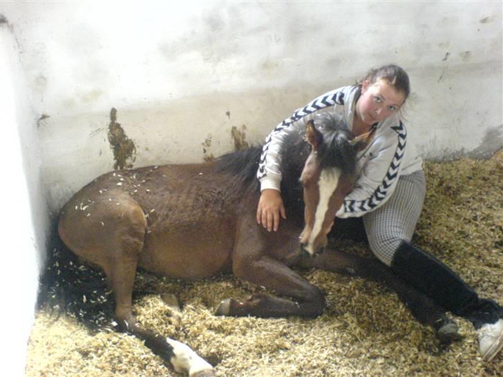 Anden særlig race Saam-a-li's surprise*DØD* billede 5