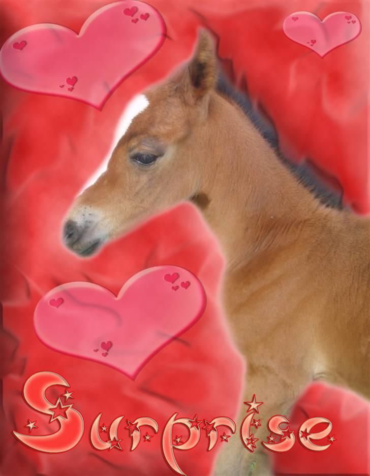 Anden særlig race Saam-a-li's surprise*DØD* billede 7