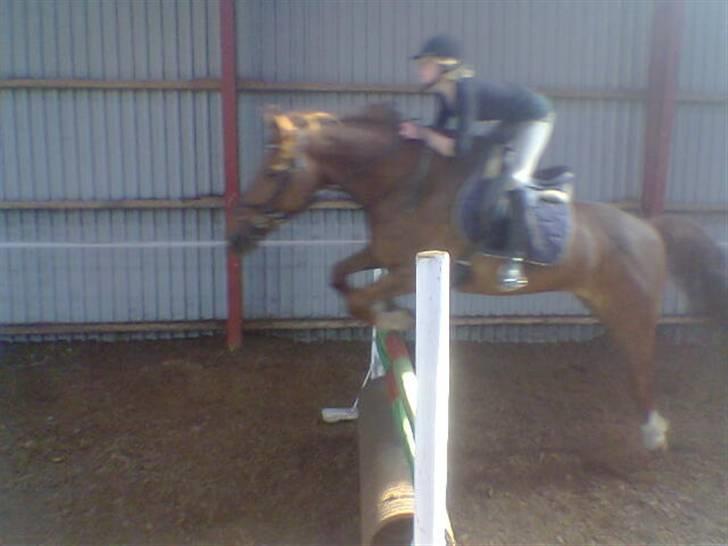 Frederiksborg Flicka billede 15