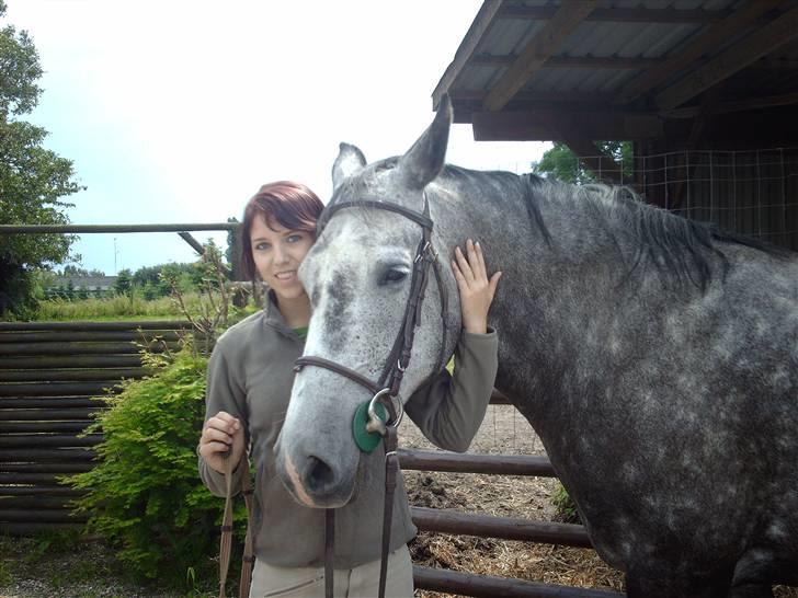 Holstener Zeênia - engang helpart billede 9