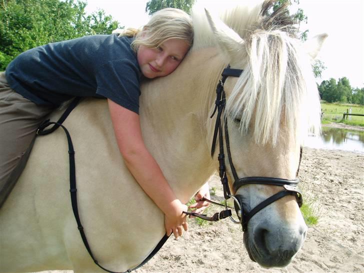 Fjordhest l Dina Halsnæs *R.I.P* - Dina og jeg  10/07-07 billede 1