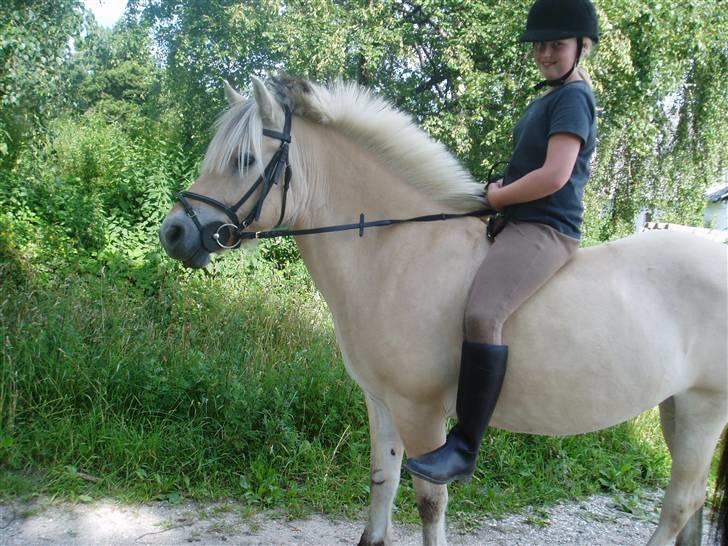 Fjordhest l Dina Halsnæs *R.I.P* - en lille hyggetur på dina:) billede 6