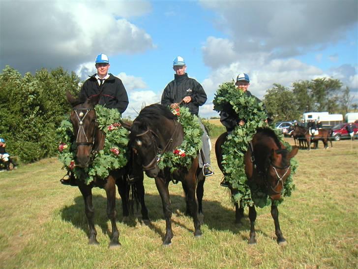 Oldenborg franko billede 3