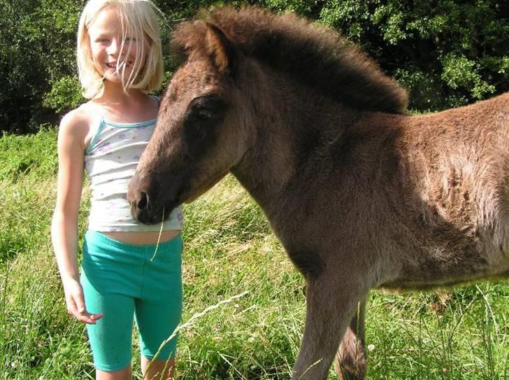 Islænder Frigg fra skovhuset - Frigg og min lille søster, da Frigg var 3 måneder ca. billede 11