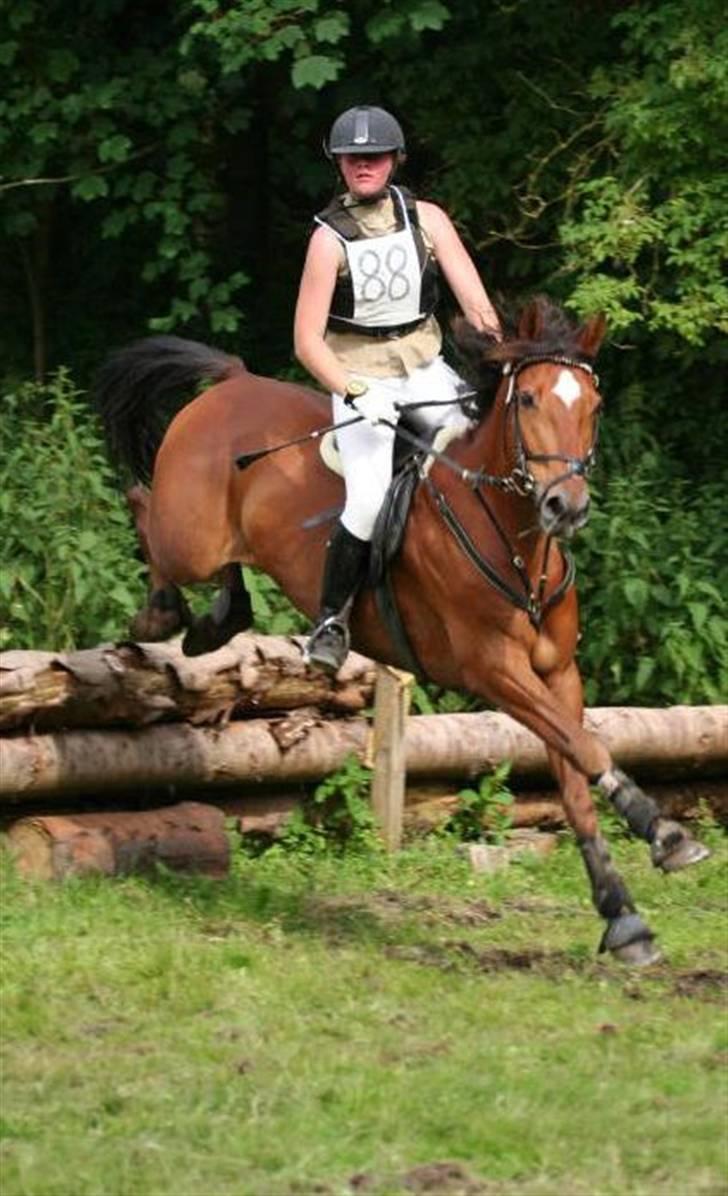 Tysk Sportspony Bonjour Boyard  - HKR military:D 2007.. Vi fik en flot 3 plads.. billede 12