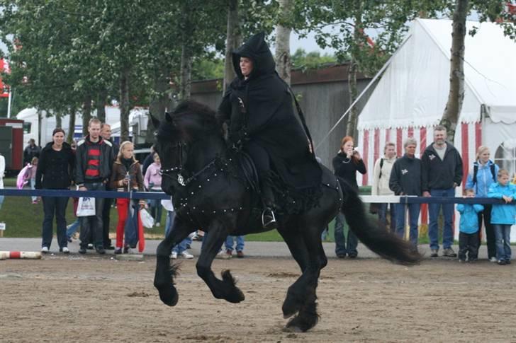 Frieser Hendrik - landsskuet 2007 billede 14