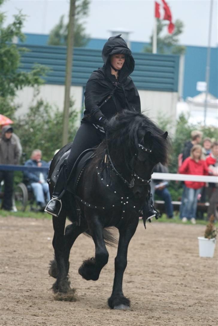 Frieser Hendrik - landsskuet 2007 billede 15