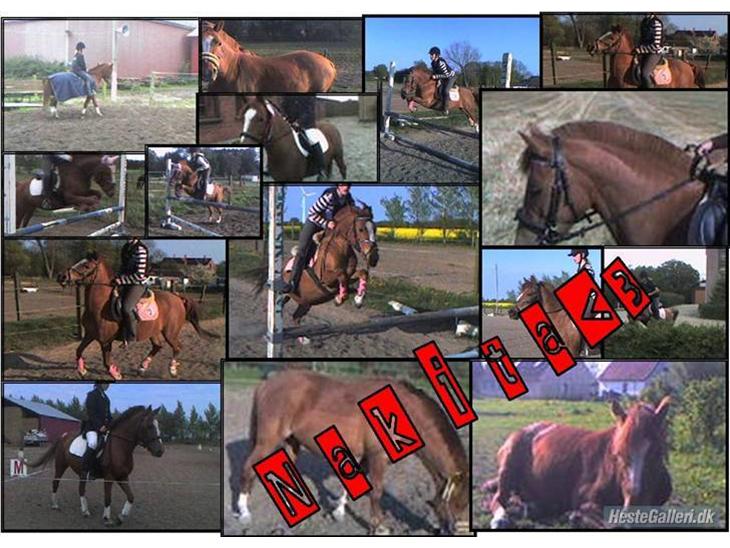 {{currentPhoto.altText}} billede {{currentPhoto.number}}