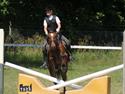 Welsh Pony af Cob-type (sec C) Wildzangs Royal Bravour<3