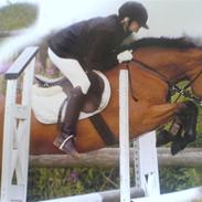 Anden særlig race Duracell *Solgt*