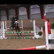 Anden særlig race spotlight (gammel part)