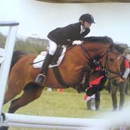 Anden særlig race Duracell *Solgt*