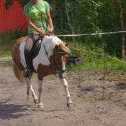 Anden særlig race Bess (gammel part) <3