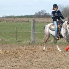 Anden særlig race Je t'aime *Solgt*