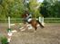 Anden særlig race Prins Ali *RIP* - Ridelejr 07 / Hop´ <3 105 m Wooaw det var høøjt ! (: 