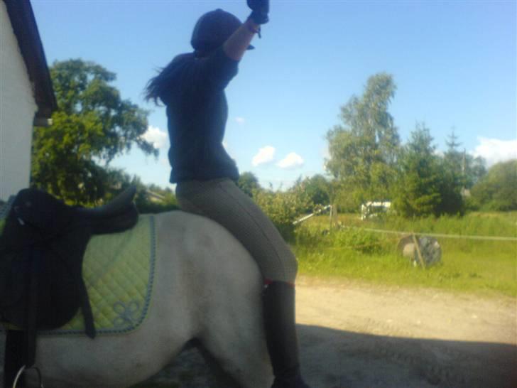 DSP Andante Aflivet RIP <3 - Rolig pony <3 billede 19
