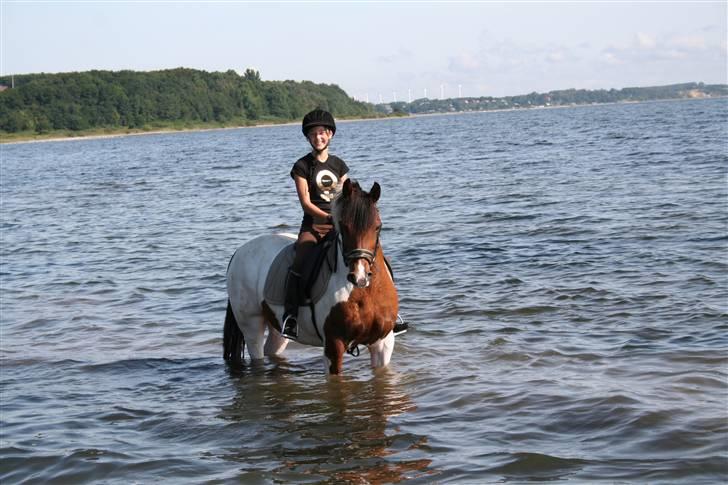 Pinto Twister - Så ska´ der rides! :) billede 1