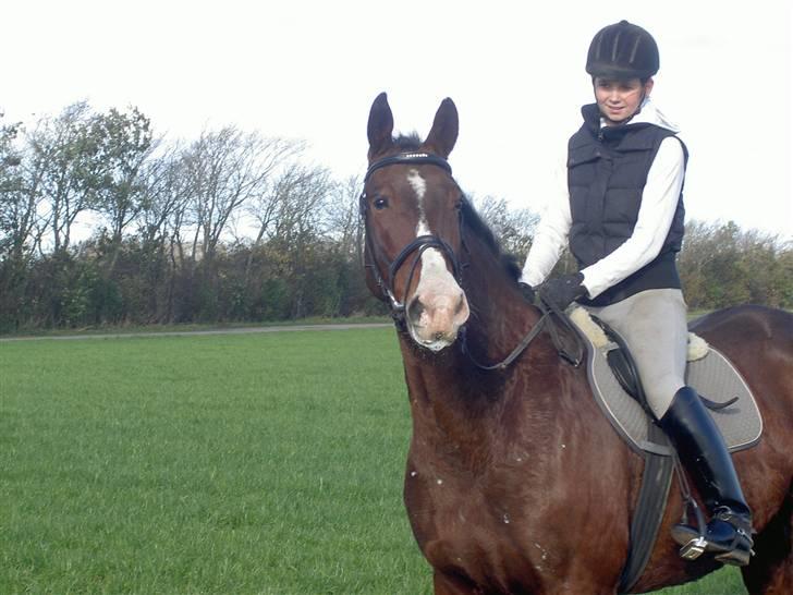 Oldenborg Urban Hedevang R.I.P. billede 5