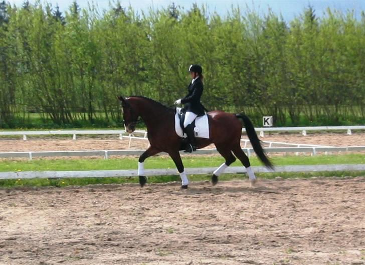 Oldenborg Urban Hedevang R.I.P. billede 8