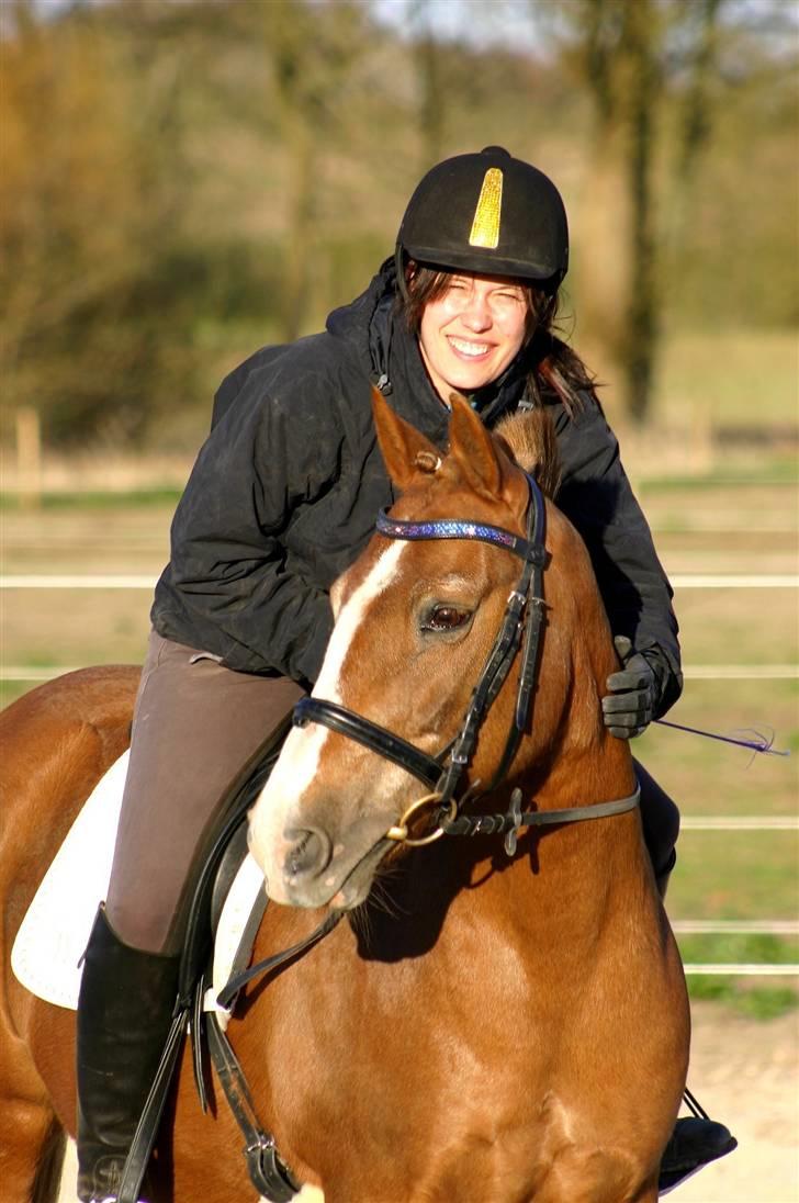 New Forest Folehaves Nathali * klubmester i spring 2013* - Træner til opvisning. Taget af: Camilla Rosenlund  billede 4