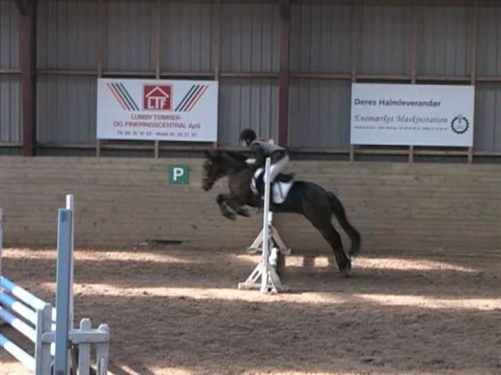 Anden særlig race Monzur <333 - Min dejlige spring pony ! Et stævne på dalumgård.. :D billede 12
