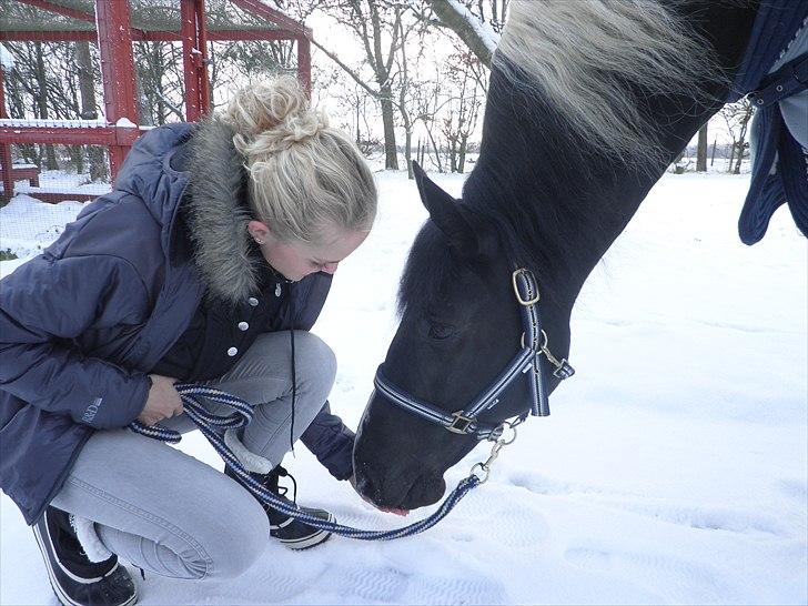 Pinto Armarnie <33 - den 23. december Armarnie er med ude i sneen ;) billede 14