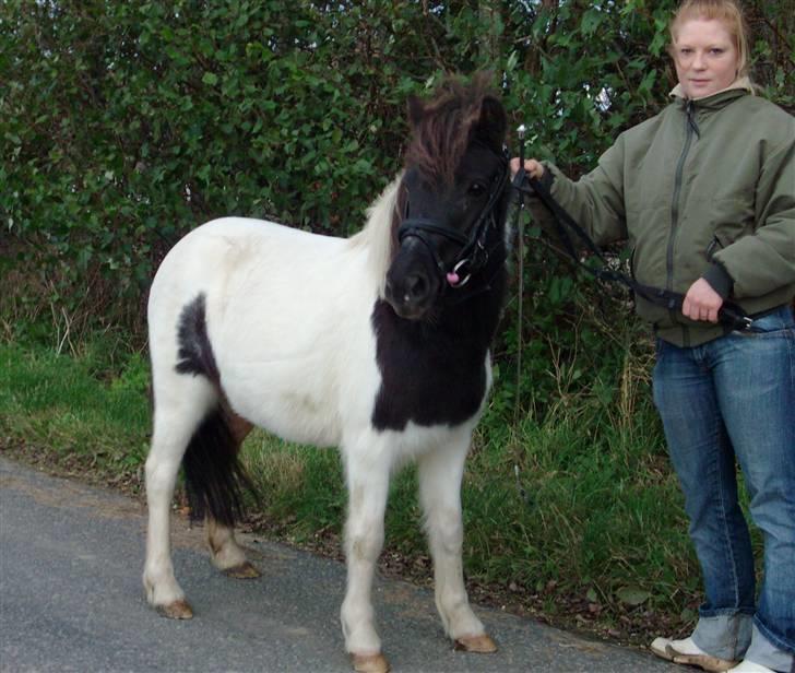 Anden særlig race Flicka Solgt  - Nyt: Flicka pocere lidt....  (taget d. 12/10 2007) billede 15