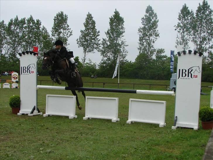 Welsh Pony (sec B) Jedidjan Rufus / R.I.P. / - Rufus <3 - Baltic i Ikast  billede 2