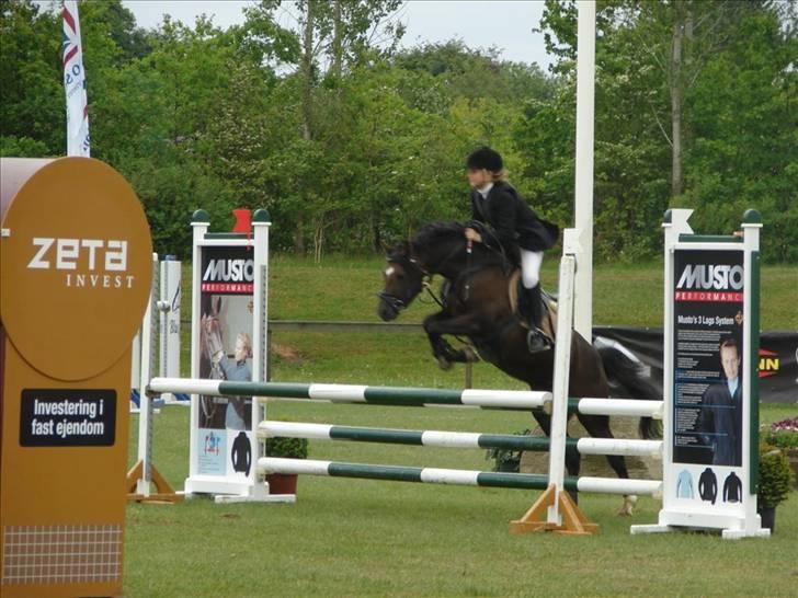Welsh Pony (sec B) Jedidjan Rufus / R.I.P. / - Rufus :D:D billede 7