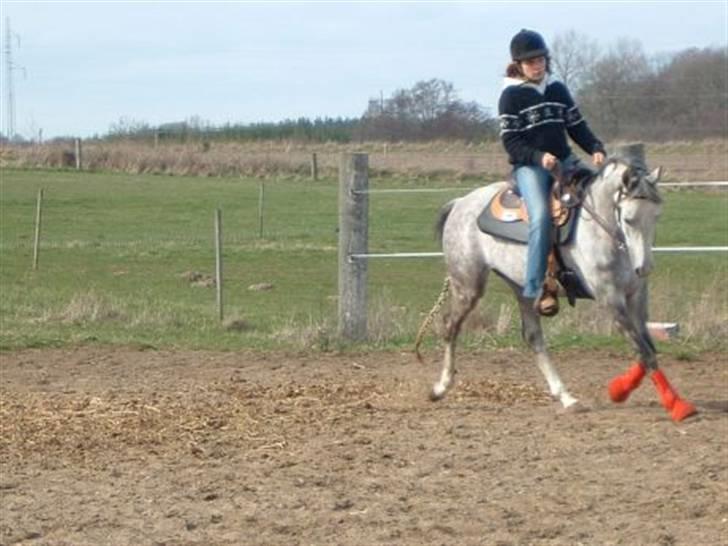 Anden særlig race Je t'aime *Solgt* - Dengang jeg red western for ca. 1 år siden.. billede 2