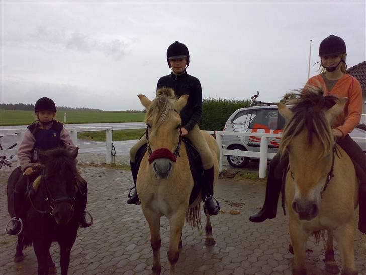 Fjordhest Zenia, passet ^savnes!^ - mig og Zenia i midten.. er lige kommet hjem fra ridetur billede 4