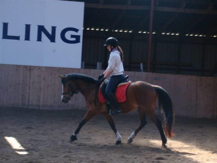Anden særlig race Freja - 6# d. 5 april - hun var rigtig sød! Her kigger hun ned på den der lyse streg :D <3 Derfor ligner det at hun går på forparten :) billede 6